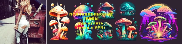 трава Арсеньев
